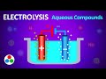 Electrolysis and Ionic Compounds