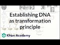 DNA and Genetic Inheritance Concepts