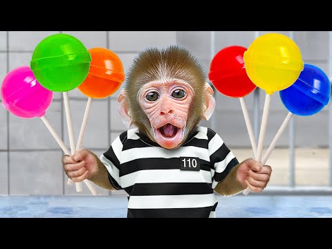 KiKi Monkey unbox Sweet Rainbow Lollipop Candy in Prison Maze so satisfying ASMR | KUDO ANIMAL KIKI