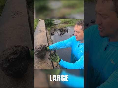 Old US Military Explosives Found Magnet Fishing!