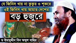 যে জিনিস খায় না কুকুর ও শূকরে ওই জিনিস খায় আমার দেশের বড় হুজুরে ইমামুদ্দিন বিন আব্দুল বাসির