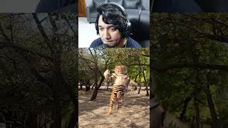 বাঘ দেখলাম | Bangla Funny Video (Meme Review) | KaaloBador