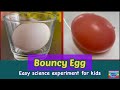 Bouncy Egg Experiment Concepts