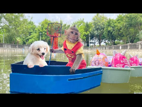 Monkey Baby BoBo goes boat go fishing Paint Animals Monkey utensils and eats eggs for puppy poodle