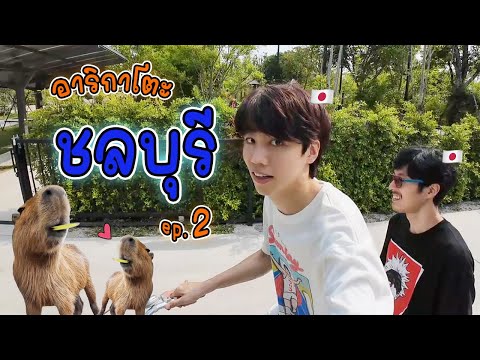 ปีชง คนง่วง หมามะพร้าว | Chonburi Day 2