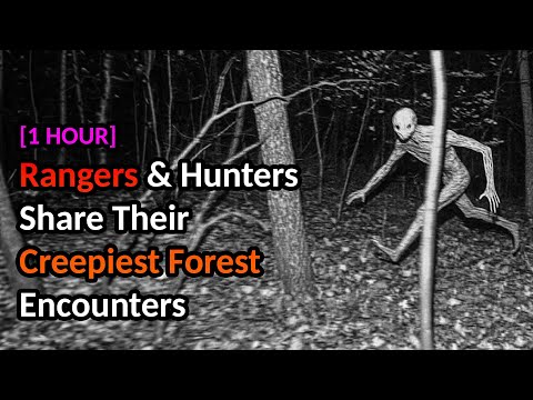 [1 HOUR] Rangers & Hunters Share Their Creepiest Forest Encounters