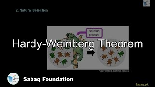 Hardy-Weinberg Theorem