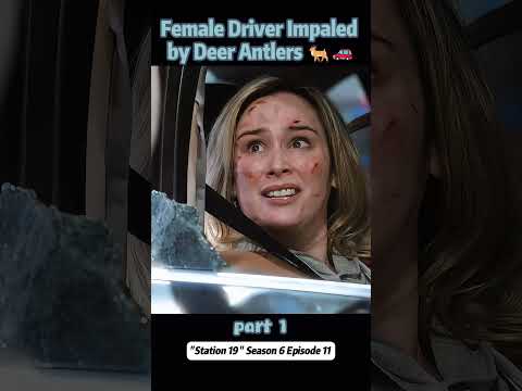 Female Driver Impaled by Deer Antlers 🦌🚗【Part 1】