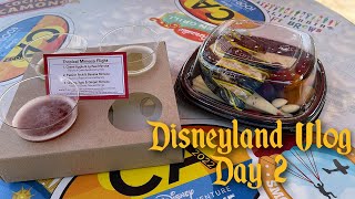 Disneyland April Trip Vlog: Day 2 (More rides and food!)