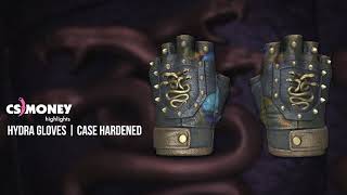 Hydra Gloves Case Hardened Gameplay