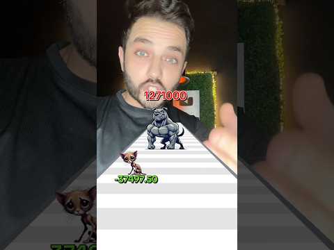 ضحكت علي القط 😂😂