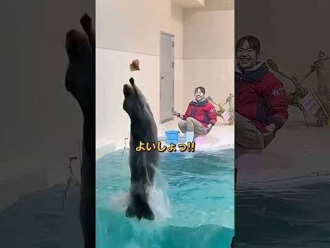 飼育員 (しいく