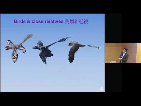 Public Lecture (5/1/2025): Vertebrates - from Land to the Sky (In Cantonese) | Prof. Michael Pittman (Assistant Professor, School of Life Science, The Chinese University of Hong Kong)