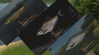 Fisher Online: Китайские трофеи)