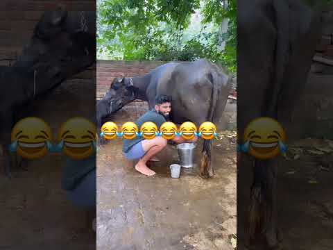#manishoker #gopishoker #youtubeshorts