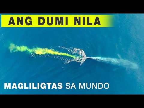 Ang Dumi nila ang Magliligtas sa Mundo?