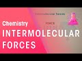 Exploring Intermolecular Forces and Their Types