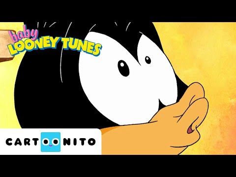 Daffy Duck Home Alone! | Baby Looney Tunes | @cartoonito