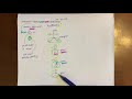 Amino Acids and pH Effects