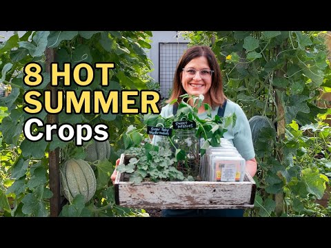 8 Best Crops for HOT Summer Gardens (Arizona Tested!)