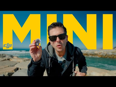 DJI Mic Mini: Big Sound, Tiny Package!