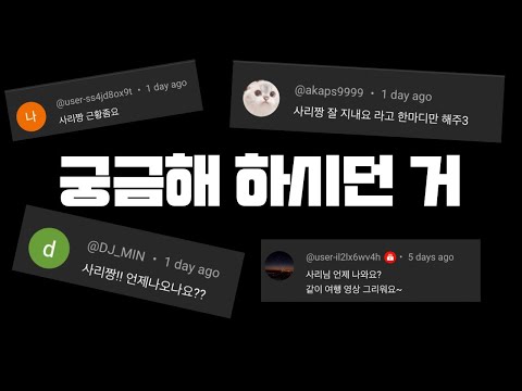결국 그렇게 됐습니다...