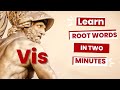 Exploring the Roots of Sight: Vis and Vid