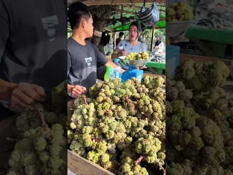 Satu lagi, buah hutan unik yang jarang kita temui