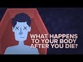 Decomposition and Post-Mortem Processes