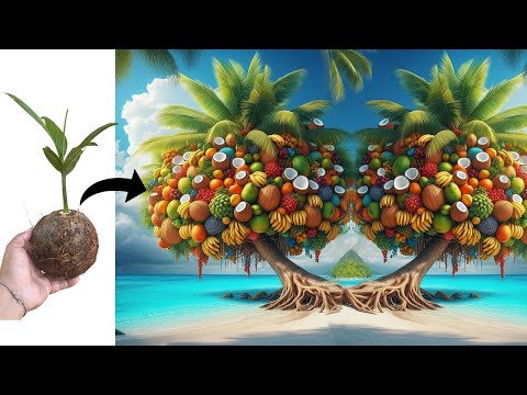 Using this method can help the coconut grow twice as fast | How I planting coconut tree