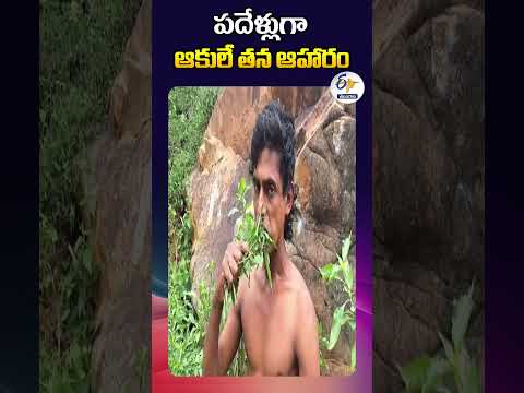 పదేళ్లుగా ఆకులే తన ఆహారం