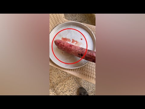 YAVRU KÖPEKLERİME HEDİYE GELDİ 😄
