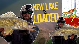 Find Walleyes on New Lakes: HIDDEN HOTSPOT is LOADED!