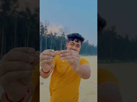 সমুদ্রের ধার থেকে লাল কাঁকড়া ধরতে গিয়ে অবস্থাই খারাপ হয়ে গেল Bengali Mini ￼blog #shorts