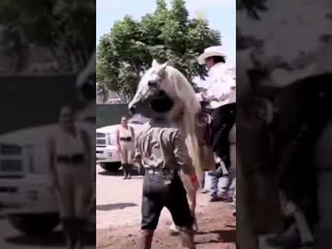 Joan Sebastian entrando a un show