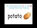 Pluralization Rules for Words Ending in 'o'