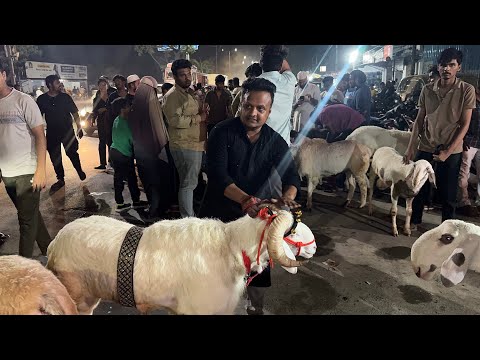 Bakra Eid Vlog || @daimiproduction