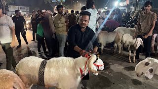 Bakra Eid Vlog || @daimiproduction