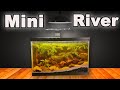 Aquarium Ecosystem Dynamics