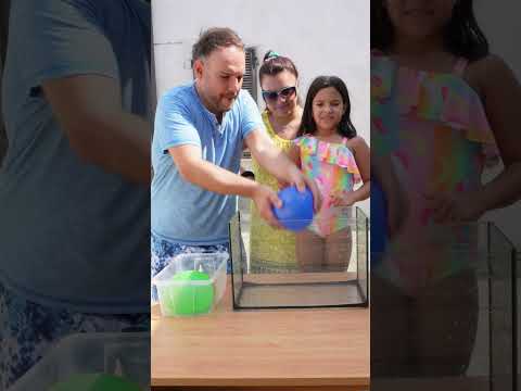 Colorata o trasparente????#challenge #shortsvideo #funny #family #challengevideo #shortsviral