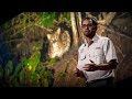 Conservation and Ecology of Fishing Cats