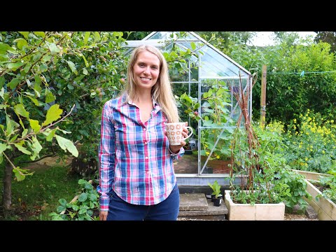 Greenhouse Gardening Guide for Abundant Crops and Healthy Plants