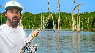 These FLOODED TREES Were Hiding an UNEXPECTED MONSTER! -- BIGGEST of the YEAR!