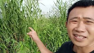 trần trung kiên | Hạnh phúc là những điều giản dị