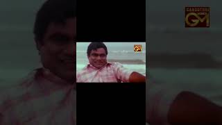 ఈ రోగాల పుట్ట ఎక్కడున్నాడో ఏమో బాబు మోహన్ సూపర్ కామెడీ| Vamsanikokkadu | Balakrishna | Ramya Krishna