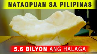 Natagpuan sa Pilipinas, 5.6 Bilyon ang Halaga?