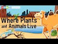 Habitats and Organisms in Ecosystems