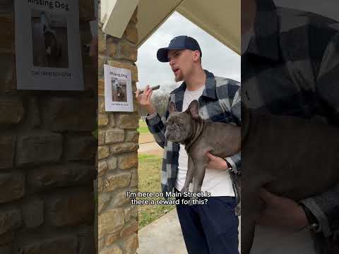 He can go lose his dog somewhere else #dogsofyoutube