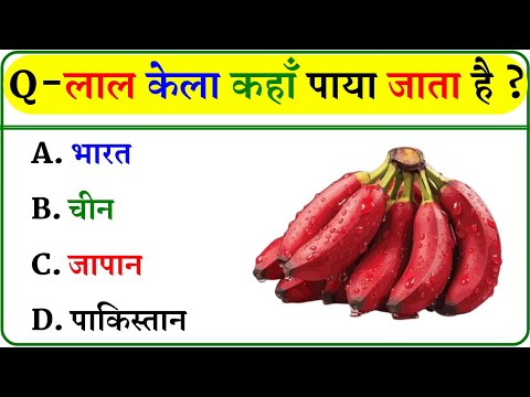 GK Question || GK In Hindi || GK Question and Answer || GK Quiz ||