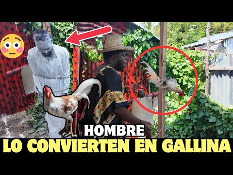 HECHIERO CONVIERTE UN HOMBRE EN UNA GALLINA